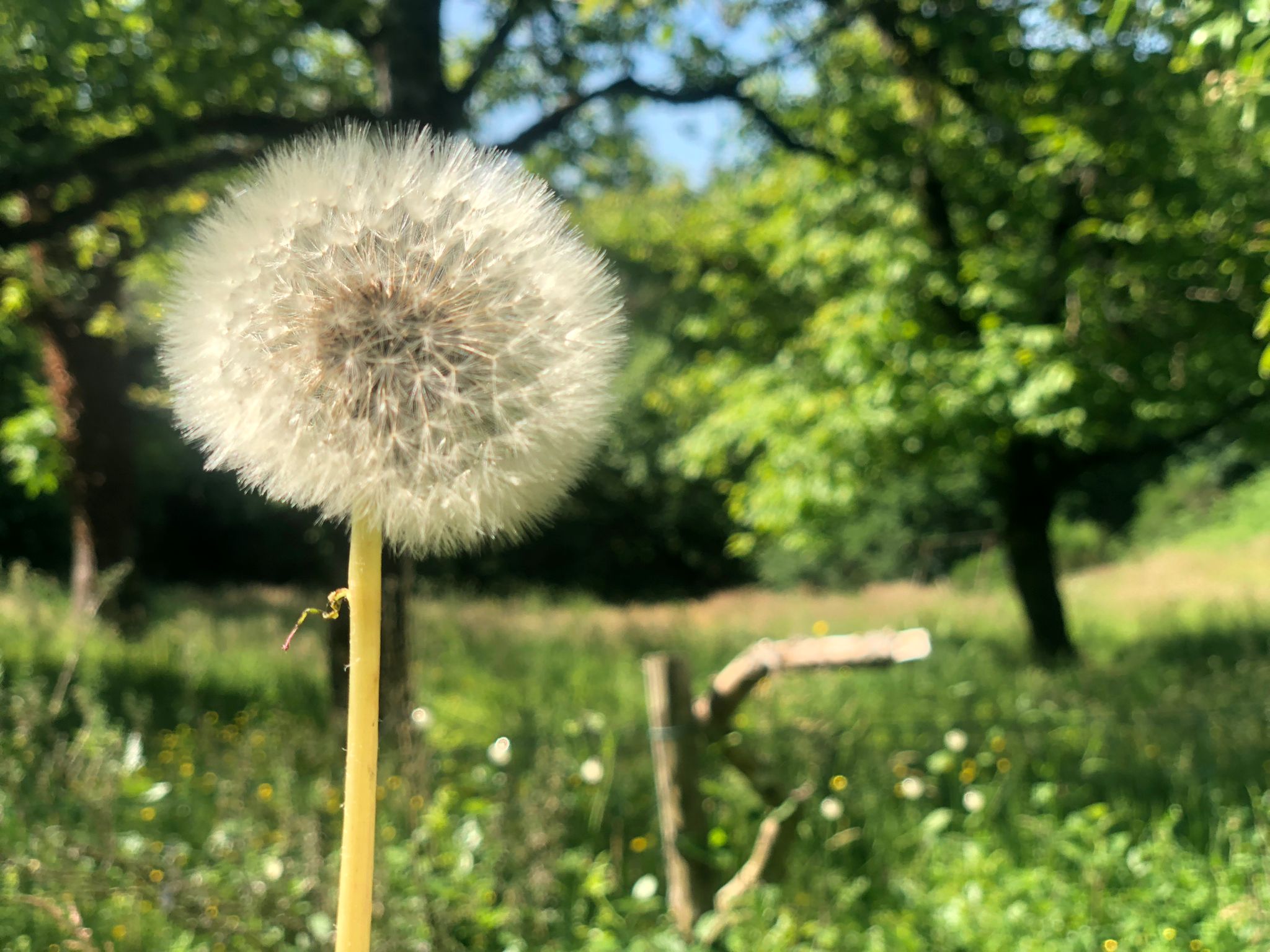 Conscious Beauty: Small Steps That Shape Our Future