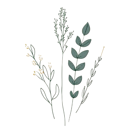 A delicate line-art botanical drawing featuring a collection of various wild plants and leaves, representing natural beauty.