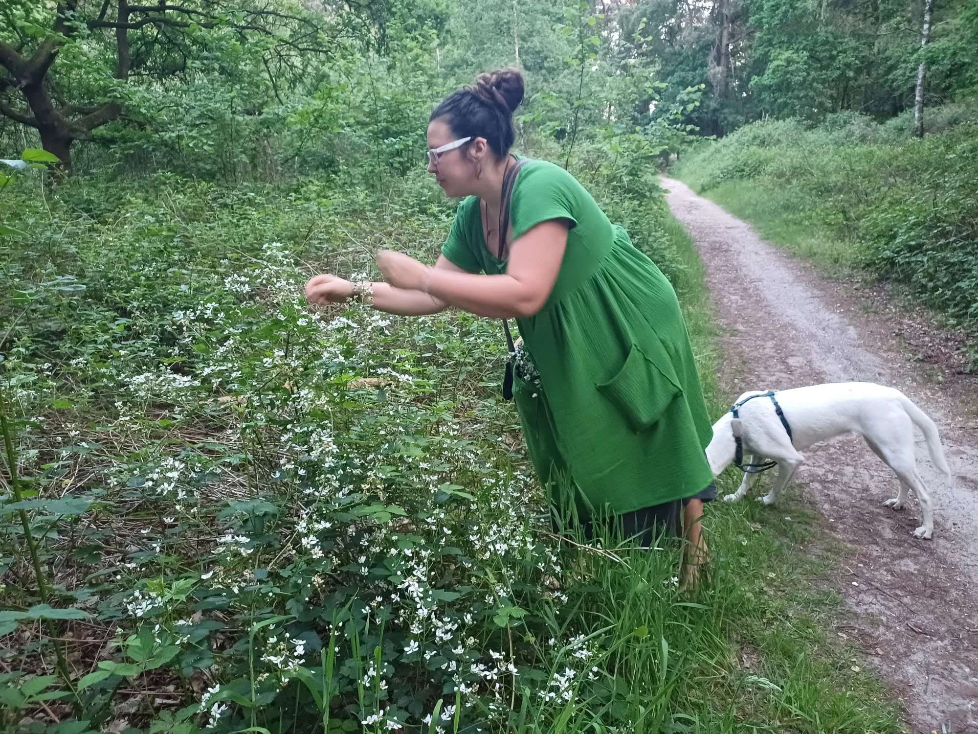 Maria Elena, founder of Maria Elena Natural Beauty, picking wild flowers during a tranquil forest walk in the Netherlands. A white dog walks beside her on a path, highlighting the brand's connection to nature and sustainable values.